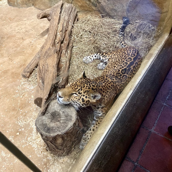 Meet Your Posher! - Picture 9 of 12